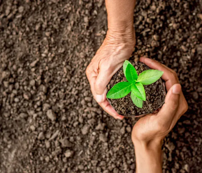 Especialización en Jurisdicción Agraria y Derecho de Tierras