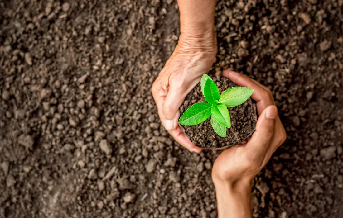 Especialización en Jurisdicción Agraria y Derecho de Tierras