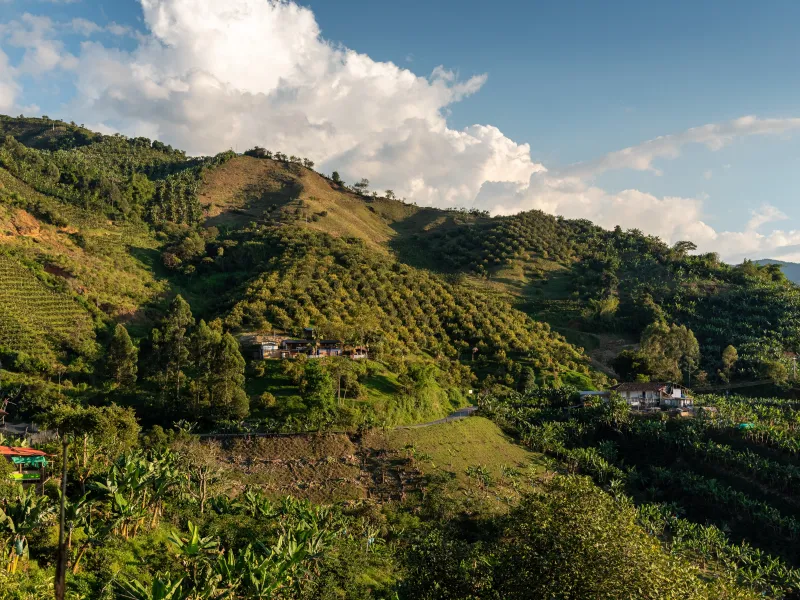 Especialización en Jurisdicción Agraria y Derecho de Tierras Especialización en Jurisdicción Agraria y Derecho de Tierras